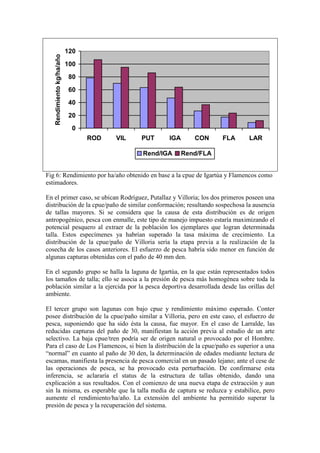 0
20
40
60
80
100
120
ROD VIL PUT IGA CON FLA LAR
Rendimiento
kg/ha/año
Rend/IGA Rend/FLA
Fig 6: Rendimiento por ha/año obtenido en base a la cpue de Igartúa y Flamencos como
estimadores.
En el primer caso, se ubican Rodríguez, Putallaz y Villoria; los dos primeros poseen una
distribución de la cpue/paño de similar conformación; resultando sospechosa la ausencia
de tallas mayores. Si se considera que la causa de esta distribución es de origen
antropogénico, pesca con enmalle, este tipo de manejo impuesto estaría maximizando el
potencial pesquero al extraer de la población los ejemplares que logran determinada
talla. Estos especímenes ya habrían superado la tasa máxima de crecimiento. La
distribución de la cpue/paño de Villoria sería la etapa previa a la realización de la
cosecha de los casos anteriores. El esfuerzo de pesca habría sido menor en función de
algunas capturas obtenidas con el paño de 40 mm den.
En el segundo grupo se halla la laguna de Igartúa, en la que están representados todos
los tamaños de talla; ello se asocia a la presión de pesca más homogénea sobre toda la
población similar a la ejercida por la pesca deportiva desarrollada desde las orillas del
ambiente.
El tercer grupo son lagunas con bajo cpue y rendimiento máximo esperado. Conter
posee distribución de la cpue/paño similar a Villoria, pero en este caso, el esfuerzo de
pesca, suponiendo que ha sido ésta la causa, fue mayor. En el caso de Larralde, las
reducidas capturas del paño de 30, manifiestan la acción previa al estudio de un arte
selectivo. La baja cpue/tren podría ser de origen natural o provocado por el Hombre.
Para el caso de Los Flamencos, si bien la distribución de la cpue/paño es superior a una
“normal” en cuanto al paño de 30 den, la determinación de edades mediante lectura de
escamas, manifiesta la presencia de pesca comercial en un pasado lejano; ante el cese de
las operaciones de pesca, se ha provocado esta perturbación. De confirmarse esta
inferencia, se aclararía el status de la estructura de tallas obtenido, dando una
explicación a sus resultados. Con el comienzo de una nueva etapa de extracción y aun
sin la misma, es esperable que la talla media de captura se reduzca y estabilice, pero
aumente el rendimiento/ha/año. La extensión del ambiente ha permitido superar la
presión de pesca y la recuperación del sistema.
 