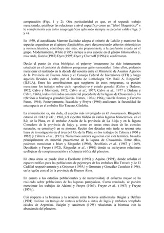 comparación (Figs. 1 y 2). Otra particularidad es que, en el segundo trabajo
mencionado, establece las relaciones a nivel específico como un “árbol filogenético” y
lo complementa con datos zoogeográficos aplicando siempre su peculiar estilo (Figs. 3
y 4).
En 1950, el autodidacta Marrero Galíndez adopta el criterio de Lahille y mantiene las
especies argentinas en el género Basilichthys, pero desconociendo criterios sistemáticos
y nomenclaturales, contribuye aún más, sin proponérselo, a la confusión creada en el
grupo. Modernamente, White (1985) incluye a esta especie en el género Odontesthes y,
más tarde, García (1987) Dyer (1993) Dyer y Chernoff (1996) lo confirmaron.
Desde el punto de vista biológico, el pejerrey bonaerense ha sido intensamente
estudiado en el contexto de distintos programas gubernamentales. Entre ellos, podemos
mencionar el realizado en la década del sesenta entre el Ministerio de Asuntos Agrarios
de la Provincia de Buenos Aires y el Consejo Federal de Inversiones (CFI) y luego
aquellos llevados a cabo por el Instituto de Limnología “Dr. Raúl A. Ringuelet”
(ILPLA). Entre las contribuciones que surgieron de estos programas, se pueden
mencionar los trabajos sobre ciclo reproductivo y estado gonadal (Calvo y Dadone,
1972; Calvo y Morriconi, 1972; Calvo et al., 1967; Calvo et al., 1977 y Dadone y
Calvo, 1966), todos realizados con material procedente de la laguna de Chascomús y los
referidos a histología gonadal (García Romeu, 19641; 19642; García Romeu y Cordero
Funes, 1964). Posteriormente, Iwaszkiw y Freyre (1980) analizaron la fecundidad de
esta especie en el embalse Río Tercero, Córdoba.
La alimentación es, sin duda, el aspecto más investigado en O. bonariensis. Ringuelet
estudió en 1942 (19421; 19422) el espectro trófico en varias lagunas bonaerenses, en el
Río de la Plata, en el embalse Azulón de la provincia de La Rioja y en la laguna
Comedero de la provincia de Jujuy y, como en tantas otras áreas de las ciencias
naturales, se constituyó en su pionero. Recién dos décadas más tarde se retoma esta
línea de investigación en el área del Río de la Plata, en los trabajos de Cabrera (1960 y
1962) y Cabrera et al., (1973). Numerosos autores siguieron con esta temática, basados
principalmente en material proveniente de la laguna de Chascomús. Entre ellos,
podemos mencionar a Iriart y Ringuelet (1966), Destéfanis et al., (1967 y 1969),
Destéfanis y Freyre (1972), Ringuelet et al., (1980) donde se incluyeron relaciones
ecológicas de complementación y eficiencia trófica del plancton.
En otras áreas se puede citar a Escalante (1985) y Aquino (1991), donde señalan el
espectro trófico para las poblaciones de pejerreyes de los embalses Río Tercero y de El
Cadillal respectivamente y a Grosman (19951) y Grosman y González Castelain (1996),
en la región central de la provincia de Buenos Aires.
En cuanto a los estudios poblacionales y de numerosidad, el esfuerzo mayor se ha
realizado sobre poblaciones de las lagunas pampásicas. Como resultado, se pueden
mencionar los trabajos de Alaimo y Freyre (1969), Freyre et al., (1967) y Freyre
(19762).
Con respecto a la biomasa y la relación entre factores ambientales Baigún y Delfino
(1994) realizan un trabajo de síntesis referido a datos de lagos y embalses templado
cálidos de Argentina. Baigún y Anderson (1995) relacionan la biomasa con la
abundancia del plancton.
 