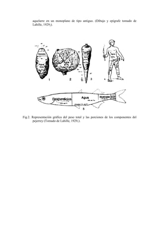 aquelarre en un monoplano de tipo antiguo. (Dibujo y epígrafe tomado de
Lahille, 19292).
Fig.2. Representación gráfica del peso total y las porciones de los componentes del
pejerrey (Tomado de Lahille, 19291).
 