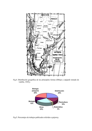 Fig.4. Distribución geográfica de las principales formas (Dibujo y epígrafe tomado de
Lahille, 19292).
Distribución
24%
Sistemática
3%
Otros
23%
Biología
12%
Biología
pesquera
22%
Piscicultura
16%
Fig.5. Porcentajes de trabajos publicados referidos a pejerrey.
 