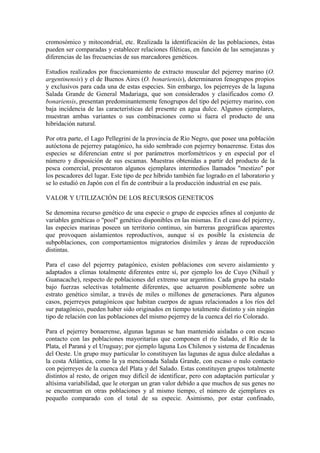 cromosómico y mitocondrial, etc. Realizada la identificación de las poblaciones, éstas
pueden ser comparadas y establecer relaciones filéticas, en función de las semejanzas y
diferencias de las frecuencias de sus marcadores genéticos.
Estudios realizados por fraccionamiento de extracto muscular del pejerrey marino (O.
argentinensis) y el de Buenos Aires (O. bonariensis), determinaron fenogrupos propios
y exclusivos para cada una de estas especies. Sin embargo, los pejerreyes de la laguna
Salada Grande de General Madariaga, que son considerados y clasificados como O.
bonariensis, presentan predominantemente fenogrupos del tipo del pejerrey marino, con
baja incidencia de las características del presente en agua dulce. Algunos ejemplares,
muestran ambas variantes o sus combinaciones como si fuera el producto de una
hibridación natural.
Por otra parte, el Lago Pellegrini de la provincia de Río Negro, que posee una población
autóctona de pejerrey patagónico, ha sido sembrado con pejerrey bonaerense. Estas dos
especies se diferencian entre sí por parámetros morfométricos y en especial por el
número y disposición de sus escamas. Muestras obtenidas a partir del producto de la
pesca comercial, presentaron algunos ejemplares intermedios llamados "mestizo" por
los pescadores del lugar. Este tipo de pez híbrido también fue logrado en el laboratorio y
se lo estudió en Japón con el fin de contribuir a la producción industrial en ese país.
VALOR Y UTILIZACIÓN DE LOS RECURSOS GENETICOS
Se denomina recurso genético de una especie o grupo de especies afines al conjunto de
variables genéticas o "pool" genético disponibles en las mismas. En el caso del pejerrey,
las especies marinas poseen un territorio continuo, sin barreras geográficas aparentes
que provoquen aislamientos reproductivos, aunque sí es posible la existencia de
subpoblaciones, con comportamientos migratorios disímiles y áreas de reproducción
distintas.
Para el caso del pejerrey patagónico, existen poblaciones con severo aislamiento y
adaptados a climas totalmente diferentes entre sí, por ejemplo los de Cuyo (Nihuil y
Guanacache), respecto de poblaciones del extremo sur argentino. Cada grupo ha estado
bajo fuerzas selectivas totalmente diferentes, que actuaron posiblemente sobre un
estrato genético similar, a través de miles o millones de generaciones. Para algunos
casos, pejerreyes patagónicos que habitan cuerpos de aguas relacionados a los ríos del
sur patagónico, pueden haber sido originados en tiempo totalmente distinto y sin ningún
tipo de relación con las poblaciones del mismo pejerrey de la cuenca del río Colorado.
Para el pejerrey bonaerense, algunas lagunas se han mantenido aisladas o con escaso
contacto con las poblaciones mayoritarias que componen el río Salado, el Río de la
Plata, el Paraná y el Uruguay; por ejemplo laguna Los Chilenos y sistema de Encadenas
del Oeste. Un grupo muy particular lo constituyen las lagunas de agua dulce aledañas a
la costa Atlántica, como la ya mencionada Salada Grande, con escaso o nulo contacto
con pejerreyes de la cuenca del Plata y del Salado. Estas constituyen grupos totalmente
distintos al resto, de origen muy difícil de identificar, pero con adaptación particular y
altísima variabilidad, que le otorgan un gran valor debido a que muchos de sus genes no
se encuentran en otras poblaciones y al mismo tiempo, el número de ejemplares es
pequeño comparado con el total de su especie. Asimismo, por estar confinado,
 