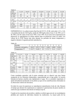 Tabla 9.
Fecha 11/5/93 30/6/93 18/8/93 18/10/93 2/12/93 21/1/94 15/5/94
Edad (m) 7 8 10 12 14 15 19
N° indiv. 481 252 208 190 179 166
N° mtra 61 45 70 59 35 35 35
Lst (cm) ±
1 desv.
8,51±0,2
4
9,61±0,3
1
10,62±0,28 10,87±0,26
12,55±0,3
5
13,99±0,3
7
17,26±0,3
4
P. ind.(g) ±
1 desv.
5,33±0,4
2
9,77±0,9
7
13,17±1,0 13,15±0,9 23,12±2,0 32,26±2,5 58,5±2,9
P. total 2406 3318 2942 4729 5848 9457
I. K.(Lst) 0,86 1,10 1,10 1,02 1,17 1,18 1,14
TCIP % 1,22 0,63 0 1,24 0,66 0,54
EXPERIENCIA 6: La sobrevivencia final fue del 67,9 %. El IK varió entre 1,12 y 1,24,
y la producción fue de 1623 kg/ha, siendo de 1085 kg/ha entre el mes 11 de 1991 y el 11
de 1992 y de 561 entre el mes 8 de 1992 y 8 de 1993. En el curso de la experiencia los
pejerreyes se reprodujeron en forma natural tanto en primavera como en otoño. Los
valores de la TCIP fueron más altos durante los períodos de menor temperatura y
negativo durante el segundo período reproductivo.
Tabla 10.
Período 1 2 3 4 5 6
Alimento entregado g 10629 24519 9562 13600 14000 30200
Temperatura °C 23,57 18,28 10 17,17 21,4 15,27
Tabla 11.
Fecha 21/11/91 5/2/92 28/6/92 29/8/92 18/11/92 19/2/93 10/8/93
Edad (m) 15 18 22 24 27 30 36
N° ind. 234 194 192 192 192 161 159
N° mtra - 35 35 35 35 35 35
Lst (cm)
± 1 desv.
- 15,61±0,4 19,85±0,3 20,21±0,36 20,06±0,31 20,06±0,27 24,0±0,43
Peso (g)
± 1 desv.
- 42,6±3,95 89,6±4,05 93,1±4,05 99,9±3,53 94,6±3,17 168,2±8,7
P total g 8846 7918 17438 19468 19696 16917 25080
I K (Lst) - 1,12 1,15 1,13 1,24 1,17 1,22
Sobrev. - 82,9 98,97 100 100 83,85 98,76
TCIP % - - 0,53 0,05 0,09 -0,05 0,34
Como resultados generales vale la pena comentar que se observó una muy buena
aceptación de los alimentos balanceados, especialmente por el tipo pellet. La mezcla
húmeda de harinas enturbia más rápidamente el agua. No se consideró importante el
aporte del plancton producido en las piletas ya que en las cuantificaciones efectuadas no
se observaron valores de relevancia.
En todos los casos los pejerreyes se reprodujeron naturalmente al año de vida. Durante
el tiempo que duraron las experiencias se separaron 2 generaciones de peces nacidos en
cautiverio que resultaron más dóciles al manejo (exp.4).
Cuando en los muestreos de juveniles y adultos se utilizó agua con sal, no se produjeron
pérdidas por muerte de individuos durante las mediciones. La mayor parte de las
 