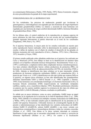 no contaminante (Strüssmann y Patiño, 1995; Patiño, 1997). Hasta el momento, ninguno
de estos procedimientos ha pasado de la etapa experimental.
ENDOCRINOLOGIA DE LA REPRODUCCION
En los vertebrados, los procesos de maduración gonadal que involucran la
gametogénesis y esteroidogénesis son regulados por dos hormonas de origen hipofisario
denominadas gonadotrofinas (GtHs). La síntesis y secreción de estas hormonas son
reguladas por una hormona de origen cerebral denominada GnRH u hormona liberadora
de gonadotrofinas (Peter, 1986).
En los últimos años, el control endócrino de la reproducción en algunas especies de
peces teleósteos ha sido bien estudiado en los tres niveles del eje cerebral-hipófiso-
gonadal siguiendo básicamente el patrón observado en el resto de los vertebrados
(Nagahama, 1994; Peter y Yu, 1997).
En el pejerrey bonaerense, la mayor parte de los estudios realizados en nuestro país
sobre reproducción fueron realizados sobre la determinación de estadios gonadales y
escalas o tablas de madurez con el objeto de estudiar el desarrollo de las gónadas en
distintos momentos del ciclo reproductivo (Calvo y Dadone, 1972; Calvo y Morriconi,
1972; Iwaszkiw y Freyre, 1980).
El primer estudio publicado sobre glándulas endócrinas en el pejerrey fue realizado por
Calvo y Morriconi (1974). Este trabajo se basó en la identificación de distintos tipos
celulares en la hipófisis utilizando técnicas histoquímicas. Recientemente Vissio et al.,
(19971) confirmaron y ampliaron dichos datos empleando técnicas immuhistoquímicas.
Los tipos celulares identificados fueron: células productoras de prolactina (PRL), de
hormona de crecimiento (GH), de adenocorticotrofina (ACTH), de tirotrofina (TSH) y
de GtHs. Además se identificaron dos tipos celulares en la pars intermedia: células
productoras de hormona melanocito estimulante (MSH) y de somatolactina (SL). A
pesar de que Vissio et al., (19971) identificaron un sólo tipo celular que expresa GtHs en
el pejerrey, en algunos peces teleósteos ya han sido identificadas dos gonadotrofinas
diferentes denominadas GtH-I y GtH-II (Suzuki et al., 1988; Copeland y Thomas,
1993). Estas hormonas son consideradas homólogas a la hormona luteinizante (LH) y la
hormona folículo estimulante (FSH) respectivamente de vertebrados tetrápodos
(anfibios, reptiles, aves y mamíferos) (Quérat, 1995). Resultados preliminares obtenidos
en pejerrey por los autores también sugieren la existencia de dos tipos de células que
expresan GtH-I y GtH-II (Miranda y Somoza, resultados no publicados).
Es sabido que en peces teleósteos, como en otros vertebrados, GnRH juega un papel
importante en la regulación de la secreción de la GtH-II hipofisaria (Peter et al., 1990;
Kime, 1993). Debido a la existencia de múltiples variantes moleculares de GnRH (King
y Millar, 1997), se han realizado estudios para la identificación de las presentes en el
cerebro del pejerrey bonaerense. Utilizando técnicas de cromatografía líquida de alta
presión y radioinmunoensayo se han identificado tres variantes moleculares de GnRH:
chicken GnRH II (cGnRH-II), salmon GnRH (sGnRH) y una tercer variante con
características cromatográficas e inmunológicas distintas a todas las variantes conocidas
(Stefano et al., 1995). Esta última es la única variante detectada en extractos
hipofisarios lo que sugiere que se encuentra relacionada con la síntesis y secreción de
hormonas hipofisarias (Stefano et al., 19971). En cuanto a la localización
 