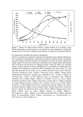 0
50
100
150
200
250
300
350
400
450
500
550
600
650
0
20
40
60
80
100
120
140
160
180
200
220
240
Días de vida
N°de
indiv.
y
biomasa
gr.
0
1
2
3
4
5
6
7
8
9
10
11
peso
gr.
y
Lst
cm.
S.calc. biom Sobs W calc.
Lst calc Lstobs Wobs
Figura 1: Número de sobrevivientes (Sobs) y valores medios de lst (Lstobs) y peso
(Wobs) observados en cada muestreo y sus respectivas curvas ajustadas en función del
tiempo (Lst calc, W calc.), y dinámica de la biomasa a lo largo de la experiencia (biom).
b) Composición sistemática de la dieta y del plancton.
Si bien el zooplancton constituyó la fracción más importante del contenido alimenticio,
otros organismos generalmente considerados bentónicos también fueron consumidos
con gran frecuencia. Resultó llamativo la abundancia de restos de materia orgánica de
origen vegetal. Se observaron diferencias acentuadas en las composiciones porcentuales
entre la dieta de las post-larvas en estanques (hasta 33 días de edad) y los juveniles
criados en jaulas durante los meses subsiguientes. En tal sentido se evidencia para los
estanques una composición taxonómica de los contenidos muy diversa (Fig. 2) y una
baja talla promedio de sus ítems. Así los rotíferos Keratella trópica (K.tr: 106 µm),
Asplachna brightwelli (A.bri: 155µm) y Monostyla lunaris (Mono: 115µm) fueron
numéricamente abundantes, seguidos por copepoditos (Co.ci: 375µm) y adultos de
Acanthocyclops robustus (A.rob: 885µm); luego en porcentajes muy inferiores
continúan larvas nauplio (Naup: 198µm); los rotíferos Lecane sp. (Leca: 95µm);
Asplachna priodonta (A.pri: 270µm); Brachionus caudatus (Br.ca: 175µm); Lepadella
sp. (Lepa: 90µm); Keratella coclhearis (K.co: 91µm); Trichocerca sp. (Trich: 70µm);
Pompholix sp. (Pom: 80µm); Brachionus quadridentatus (Br.qu: 205µm); Brachionus
havanaensis (Br.ha: 105µm); Platyas platanus (Platy: 215µm); Brachionus calyciflorus
(Br.cal: 315µm); los cladóceros Moina minuta (M.mi: 599µm); Diaphanosoma birgei
(Diap: 615µm); Alona sp. (Alon: 320µm); Chidorus sp. (Chido: 260µm) y
Simocephalus sp. (Simo: 784µm); y por último ostracoditos (Ostr: 425µm); pequeñas
larvas de quironómidos (Chiro: 675µm, Coelotanypus sp., Parachironomus sp.,
Chironomus sp. y Dicrotendipes sp.).
 