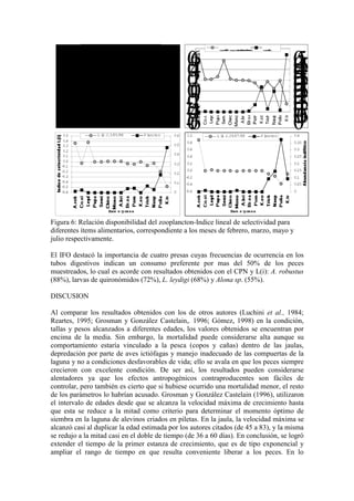 -
0.
4
-
0.
3
-
0.
2
-
0.
1
0.
0
0.
1
0.
2
0.
3
0.
4
0
0.
05
0.
1
0.
15
0.
2
0.
25
0.
3
0.
35
L (
i
) J.10/
02/
98 P l
anct
on
-
0
.
6
-
0
.
4
-
0
.
2
0
.
0
0
.
2
0
.
4
0
.
6
0
0
.
0
5
0
.
1
0
.
1
5
0
.
2
0
.
2
5
0
.
3
0
.
3
5
0
.
4
0
.
4
5
0
.
5
L
(
i
)J
1
3
/
0
3
/
9
8 P
l
-
0.
6
-
0.
5
-
0.
4
-
0.
3
-
0.
2
-
0.
1
0.
0
0.
1
0.
2
0.
3
0.
4
0.
5
I
tem s-presa
0
0.
1
0.
2
0.
3
0.
4
0.
5
0.
6
L (
i
) J.3/
05/
98 P l
anct
on
-
0.
6
-
0.
4
-
0.
2
0.
0
0.
2
0.
4
0.
6
0.
8
1.
0
I
tem s-presa
0
0.
05
0.
1
0.
15
0.
2
0.
25
0.
3
0.
35
0.
4
L (
i
) J.29/
07/
98 P l
anct
on
Figura 6: Relación disponibilidad del zooplancton-Indice lineal de selectividad para
diferentes ítems alimentarios, correspondiente a los meses de febrero, marzo, mayo y
julio respectivamente.
El IFO destacó la importancia de cuatro presas cuyas frecuencias de ocurrencia en los
tubos digestivos indican un consumo preferente por mas del 50% de los peces
muestreados, lo cual es acorde con resultados obtenidos con el CPN y L(i): A. robustus
(88%), larvas de quironómidos (72%), L. leydigi (68%) y Alona sp. (55%).
DISCUSION
Al comparar los resultados obtenidos con los de otros autores (Luchini et al., 1984;
Reartes, 1995; Grosman y González Castelain,. 1996; Gómez, 1998) en la condición,
tallas y pesos alcanzados a diferentes edades, los valores obtenidos se encuentran por
encima de la media. Sin embargo, la mortalidad puede considerarse alta aunque su
comportamiento estaría vinculado a la pesca (copos y cañas) dentro de las jaulas,
depredación por parte de aves ictiófagas y manejo inadecuado de las compuertas de la
laguna y no a condiciones desfavorables de vida; ello se avala en que los peces siempre
crecieron con excelente condición. De ser así, los resultados pueden considerarse
alentadores ya que los efectos antropogénicos contraproducentes son fáciles de
controlar, pero también es cierto que si hubiese ocurrido una mortalidad menor, el resto
de los parámetros lo habrían acusado. Grosman y González Castelain (1996), utilizaron
el intervalo de edades desde que se alcanza la velocidad máxima de crecimiento hasta
que esta se reduce a la mitad como criterio para determinar el momento óptimo de
siembra en la laguna de alevinos criados en piletas. En la jaula, la velocidad máxima se
alcanzó casi al duplicar la edad estimada por los autores citados (de 45 a 83), y la misma
se redujo a la mitad casi en el doble de tiempo (de 36 a 60 días). En conclusión, se logró
extender el tiempo de la primer estanza de crecimiento, que es de tipo exponencial y
ampliar el rango de tiempo en que resulta conveniente liberar a los peces. En lo
 