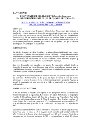 CAPITULO VIII
DESOVE NATURAL DEL PEJERREY Odontesthes bonariensis
EN ESTANQUES MEDIANTE EL USO DE PLANTAS ARTIFICIALES.
GRACIELA PORCARO; JULIO IMERONI; PABLO SANZANO;
HECTOR PETTINATO y ELBA D’AMICO.
RESUMEN
Con el fin de obtener ovas de pejerrey (Odontesthes bonariensis) para realizar la
incubación y obtener alevinos, se desarrolló una experiencia comenzando con la captura
de ejemplares de ambos sexos en una laguna del Partido de Necochea (provincia de
Buenos Aires). Dichos animales se ubicaron en un estanque donde se adaptaron a la
vida en cautiverio y a la alimentación artificial. Se colocaron plantas artificiales en las
cuales se recogió el desove, material que se retiró con las “plantas”, las que se situaban
en una pileta adecuada para su incubación.
INTRODUCCION
La práctica de desove artificial de pejerrey se vienen desarrollando desde hace tiempo
en Argentina. La técnica utilizada se conoce como “stripping”. Estas prácticas consisten
en la captura de pejerrey mediante redes selectivas y posterior masaje del abdomen del
pez, obteniendo de esta manera los óvulos o esperma. Estas maniobras (captura y
posterior masaje) provocan finalmente la muerte de los pejerreyes.
Las ovas fecundadas son trasladas a un centro de incubación artificial donde se
desarrolla la misma en vasos diseñados para tal fin, hasta obtener alevinos para la
repoblación de ambientes lacunares. Esta técnica de incubación fue puesta a punto por
González Regalado y Mastrarrigo (1954).
Este trabajo se inició con la captura de animales silvestres, los que se adaptaron a vivir
en cautiverio. Posteriormente, en la época de freza, mediante el uso de plantas
artificiales, se obtuvo el desove, el que posteriormente se incubó con éxito. Además se
evaluó la adaptación de esta especie a la vida en cautiverio y la resistencia a
enfermedades.
MATERIALES Y METODOS
A fin del invierno se procedió a la captura de los ejemplares machos y hembras que
fueron utilizados en la experiencia. Los mismos procedían de la laguna El Tupungato
(partido de Necochea), distante 20 Km. de la Estación de Piscicultura. Para dicha
captura se utilizó una red de arrastre de 35 m. de longitud y 2 m. de altura en el ala y 4
m. en el copo. En 20 lances se capturaron 113 ejemplares con un peso promedio de 175
g. y una longitud total promedio de 26 centímetros. La temperatura del agua fue de
13°C.
Los animales se transportaron hasta la estación de piscicultura en bolsas de poliestireno
con 2/3 de agua (15 litros) y 1/3 de oxígeno, con 6 animales cada una (promedio: 70
g/l). El viaje de la laguna a la estación demoró entre 20 a 30 minutos. También se
transportó un lote dentro de un tanque de 700 l., con agua hasta la mitad del mismo,
 