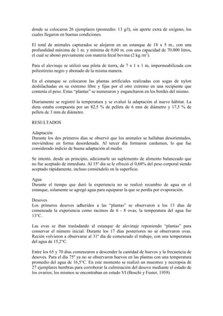 donde se colocaron 26 ejemplares (promedio: 13 g/l), sin aporte extra de oxígeno, los
cuales llegaron en buenas condiciones.
El total de animales capturados se alojaron en un estanque de 18 x 5 m., con una
profundidad máxima de 1 m. y mínima de 0,60 m. con una capacidad de 70.000 litros,
el cual se abonó previamente con materia fecal bovina (2 kg./m2
).
Para el alevinaje se utilizó una pileta de tierra, de 7 x 1 x 1 m, impermeabilizada con
poliestireno negro y abonado de la misma manera.
En el estanque se colocaron las plantas artificiales realizadas con sogas de nylon
deshilachadas en su extremo libre y fijas por el otro extremo en una recipiente que
contenía el peso. Estas “plantas” se numeraron y engancharon en los bordes del mismo.
Diariamente se registró la temperatura y se evaluó la adaptación al nuevo hábitat. La
dieta estaba compuesta por un 82,5 % de pellets de 6 mm de diámetro y 17,5 % de
pellets de 3 mm de diámetro.
RESULTADOS
Adaptación
Durante los dos primeros días se observó que los animales se hallaban desorientados,
moviéndose en forma desordenada. Al tercer día formaron cardumen, lo que fue
considerado indicio de buena adaptación al medio.
Se intentó, desde un principio, adicionarle un suplemento de alimento balanceado que
no fue aceptado de inmediato. Al 15º día se le ofreció el 0,68% del peso corporal siendo
aceptado rápidamente, incluso comiéndolo en la superficie.
Agua
Durante el tiempo que duró la experiencia no se realizó recambio de agua en el
estanque, solamente se agregó agua para equiparar la que se perdía por evaporación.
Desoves
Los primeros desoves adheridos a las “plantas” se observaron a los 13 días de
comenzada la experiencia como racimos de 6 - 8 ovas; la temperatura del agua fue
13°C.
Las ovas se iban trasladando al estanque de alevinaje reponiendo “plantas” para
conservar el número inicial. Durante los 17 días posteriores no se observaron ovas.
Recién volvieron a observarse al 31º día de comenzado el trabajo, con una temperatura
del agua de 15,2°C.
Entre los 65 y 70 días comenzaron a descender la cantidad de huevos y la frecuencia de
desoves. Para el día 75º ya no se observaron huevos en las plantas con una temperatura
promedio del agua de 16,5°C. En este momento se realizó un muestreo y necropsia de
27 ejemplares hembras para corroborar la culminación del desove mediante el estado de
los ovarios; los mismos se encontraban en estado VI (Boschi y Fuster, 1959)
 