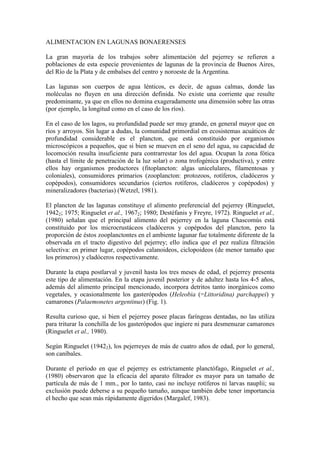 ALIMENTACION EN LAGUNAS BONAERENSES
La gran mayoría de los trabajos sobre alimentación del pejerrey se refieren a
poblaciones de esta especie provenientes de lagunas de la provincia de Buenos Aires,
del Río de la Plata y de embalses del centro y noroeste de la Argentina.
Las lagunas son cuerpos de agua lénticos, es decir, de aguas calmas, donde las
moléculas no fluyen en una dirección definida. No existe una corriente que resulte
predominante, ya que en ellos no domina exageradamente una dimensión sobre las otras
(por ejemplo, la longitud como en el caso de los ríos).
En el caso de los lagos, su profundidad puede ser muy grande, en general mayor que en
ríos y arroyos. Sin lugar a dudas, la comunidad primordial en ecosistemas acuáticos de
profundidad considerable es el plancton, que está constituido por organismos
microscópicos a pequeños, que si bien se mueven en el seno del agua, su capacidad de
locomoción resulta insuficiente para contrarrestar los del agua. Ocupan la zona fótica
(hasta el límite de penetración de la luz solar) o zona trofogénica (productiva), y entre
ellos hay organismos productores (fitoplancton: algas unicelulares, filamentosas y
coloniales), consumidores primarios (zooplancton: protozoos, rotíferos, cladóceros y
copépodos), consumidores secundarios (ciertos rotíferos, cladóceros y copépodos) y
mineralizadores (bacterias) (Wetzel, 1981).
El plancton de las lagunas constituye el alimento preferencial del pejerrey (Ringuelet,
19422; 1975; Ringuelet et al., 19672; 1980; Destéfanis y Freyre, 1972). Ringuelet et al.,
(1980) señalan que el principal alimento del pejerrey en la laguna Chascomús está
constituido por los microcrustáceos cladóceros y copépodos del plancton, pero la
proporción de éstos zooplanctontes en el ambiente lagunar fue totalmente diferente de la
observada en el tracto digestivo del pejerrey; ello indica que el pez realiza filtración
selectiva: en primer lugar, copépodos calanoideos, ciclopoideos (de menor tamaño que
los primeros) y cladóceros respectivamente.
Durante la etapa postlarval y juvenil hasta los tres meses de edad, el pejerrey presenta
este tipo de alimentación. En la etapa juvenil posterior y de adultez hasta los 4-5 años,
además del alimento principal mencionado, incorpora detritos tanto inorgánicos como
vegetales, y ocasionalmente los gasterópodos (Heleobia (=Littoridina) parchappei) y
camarones (Palaemonetes argentinus) (Fig. 1).
Resulta curioso que, si bien el pejerrey posee placas faríngeas dentadas, no las utiliza
para triturar la conchilla de los gasterópodos que ingiere ni para desmenuzar camarones
(Ringuelet et al., 1980).
Según Ringuelet (19422), los pejerreyes de más de cuatro años de edad, por lo general,
son caníbales.
Durante el período en que el pejerrey es estrictamente planctófago, Ringuelet et al.,
(1980) observaron que la eficacia del aparato filtrador es mayor para un tamaño de
partícula de más de 1 mm., por lo tanto, casi no incluye rotíferos ni larvas nauplii; su
exclusión puede deberse a su pequeño tamaño, aunque también debe tener importancia
el hecho que sean más rápidamente digeridos (Margalef, 1983).
 