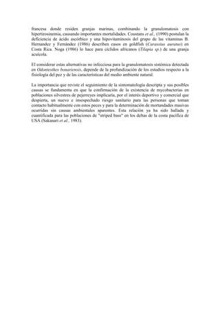 francesa donde residen granjas marinas, combinando la granulomatosis con
hipertirosinemia, causando importantes mortalidades. Coustans et al., (1990) postulan la
deficiencia de ácido ascórbico y una hipovitaminosis del grupo de las vitaminas B.
Hernandez y Fernández (1986) describen casos en goldfish (Carassius auratus) en
Costa Rica. Noga (1986) lo hace para cíclidos africanos (Tilapia sp.) de una granja
acuícola.
El considerar estas alternativas no infecciosa para la granulomatosis sistémica detectada
en Odontesthes bonariensis, depende de la profundización de los estudios respecto a la
fisiología del pez y de las características del medio ambiente natural.
La importancia que reviste el seguimiento de la sintomatología descripta y sus posibles
causas se fundamenta en que la confirmación de la existencia de mycobacterias en
poblaciones silvestres de pejerreyes implicaría, por el interés deportivo y comercial que
despierta, un nuevo e insospechado riesgo sanitario para las personas que toman
contacto habitualmente con estos peces y para la determinación de mortandades masivas
ocurridas sin causas ambientales aparentes. Esta relación ya ha sido hallada y
cuantificada para las poblaciones de "striped bass" en los deltas de la costa pacífica de
USA (Sakanari et al., 1983).
 