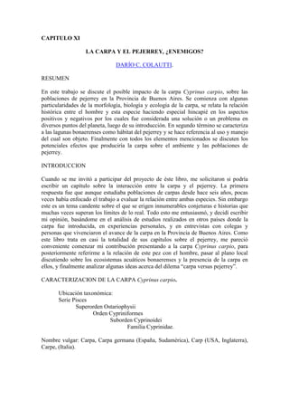 CAPITULO XI
LA CARPA Y EL PEJERREY, ¿ENEMIGOS?
DARÍO C. COLAUTTI.
RESUMEN
En este trabajo se discute el posible impacto de la carpa Cyprinus carpio, sobre las
poblaciones de pejerrey en la Provincia de Buenos Aires. Se comienza con algunas
particularidades de la morfología, biología y ecología de la carpa, se relata la relación
histórica entre el hombre y esta especie haciendo especial hincapié en los aspectos
positivos y negativos por los cuales fue considerada una solución o un problema en
diversos puntos del planeta, luego de su introducción. En segundo término se caracteriza
a las lagunas bonaerenses como hábitat del pejerrey y se hace referencia al uso y manejo
del cual son objeto. Finalmente con todos los elementos mencionados se discuten los
potenciales efectos que produciría la carpa sobre el ambiente y las poblaciones de
pejerrey.
INTRODUCCION
Cuando se me invitó a participar del proyecto de éste libro, me solicitaron si podría
escribir un capítulo sobre la interacción entre la carpa y el pejerrey. La primera
respuesta fue que aunque estudiaba poblaciones de carpas desde hace seis años, pocas
veces había enfocado el trabajo a evaluar la relación entre ambas especies. Sin embargo
este es un tema candente sobre el que se erigen innumerables conjeturas e historias que
muchas veces superan los límites de lo real. Todo esto me entusiasmó, y decidí escribir
mi opinión, basándome en el análisis de estudios realizados en otros países donde la
carpa fue introducida, en experiencias personales, y en entrevistas con colegas y
personas que vivenciaron el avance de la carpa en la Provincia de Buenos Aires. Como
este libro trata en casi la totalidad de sus capítulos sobre el pejerrey, me pareció
conveniente comenzar mi contribución presentando a la carpa Cyprinus carpio, para
posteriormente referirme a la relación de este pez con el hombre, pasar al plano local
discutiendo sobre los ecosistemas acuáticos bonaerenses y la presencia de la carpa en
ellos, y finalmente analizar algunas ideas acerca del dilema “carpa versus pejerrey”.
CARACTERIZACION DE LA CARPA Cyprinus carpio.
Ubicación taxonómica:
Serie Pisces
Superorden Ostariophysii
Orden Cypriniformes
Suborden Cyprinoidei
Familia Cyprinidae.
Nombre vulgar: Carpa, Carpa germana (España, Sudamérica), Carp (USA, Inglaterra),
Carpe, (Italia).
 