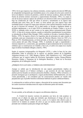 1991). En lo que respecta a las culturas orientales, existen registros de más de 2000 años
de antigüedad atestiguando que trasladaban peces a los campos de arroz para control de
larvas de dípteros vectores de parásitos, control de malezas acuáticas, abono del fondo,
fuente de proteína animal, recreación y esparcimiento (Fernando, 19931). La carpa es
una de las pocas especies capaces de satisfacer con eficiencia todos estos requerimientos
bajo las condiciones de vida que ofrece el arrozal y actualmente es la especie más
utilizada para estos fines, por lo tanto, es lícito pensar que esta especie haya sido
trasladada desde su lugar de origen para utilizarse como animal doméstico mucho antes
de que lo hicieran los romanos. En la edad media, es llevada a Inglaterra dónde se
aclimató rápidamente, y en el siglo XVII es introducida en Estados Unidos; y ya en el
XVIII es señalada como un pez común en las aguas dulces norteamericanas (Panek,
1987). A fines de la misma centuria, cuando se intensifica mundialmente la acuicultura,
es introducida en Brasil (Mac Donagh, 1948) y también es llevada a Australia (Sharer y
Mulley, 1978). Su ingreso oficial a la Argentina data de principios de siglo cuando es
sembrada como pez ornamental en los lagos de Palermo (Buenos Aires) en 1925 y La
Plata en 1932. Simultáneamente, en forma privada, es llevada con similares objetivos, a
varios puntos del país (Mac Donagh, 1948). A mediados de siglo y respondiendo a
intereses deportivos y comerciales, que apuntaban al aprovechamiento de los numerosos
embalses que se construyeron en Córdoba y San Luís, el cultivo de carpas tuvo mucho
auge en dichas localidades (Baigún y Quirós, 1985).
Según el esquema ictiogeográfico de Ringuelet (1975), y sobre la base de las citas
disponibles sobre la presencia de la especie en distintos puntos de la República
Argentina (Arratia, et al., 1983; Baigún y Quirós, 1985; Sidorkewcy et al., 1995) puede
verificarse que la especie habita las Provincias Sud-andino cuyana, Parano-Platense
Dominios Andino y Paranense de la Subregión Brasílica; y Norte de la Provincia
patagónica, de la Subregión Austral.
¿PORQUE FUE LLEVADA A TODOS LOS CONTINENTES?
Aunque es sabido que la introducción de una especie generalmente implica un
importante impacto en el balance ecológico, y que acciones de este tipo requieren
análisis previos basados en estrictos protocolos (Kohler y Stanley, 1984), la historia y el
presente atestiguan que se produjeron y siguen produciéndose deliberadamente, con una
visión parcializada, y sin considerar que las consecuencias pueden ser mucho más
perjudiciales que el posible beneficio (fenómeno habitual en países subdesarrollados).
A continuación se realiza un breve repaso y discusión de las razones más frecuentes por
las cuales ocurrieron introducciones de carpa en diferentes partes del mundo.
Biomanipulación
En este sentido, se ha utilizado a la especie con diferentes objetivos.
A- Control de insectos vectores de parásitos con larva de vida acuática: se
realizan con el objeto de optar por métodos que disminuyan el riesgo del uso de
pesticidas. Según Meijen (1940) Cyprinus carpio es la especie más efectiva para el
control de la malaria en campos de arroz ya que en muchas partes del mundo ha
prestado una verdadera ayuda para mitigar este flagelo.
 
