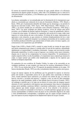 El retorno de material decantado a la columna de agua, puede afectar a la eficiencia
alimentaria de algunos grupos de peces, sobre todo a los predadores que se valen de la
vista para detectar a sus presas, y a los filtradores que ven entorpecidos sus mecanismos
de alimentación.
Las plantas sumergidas se ven perjudicadas por la disminución de la transparencia que
afecta su crecimiento por reducción de la tasa de fotosíntesis (Ruttner, 1952; Moyle y
Kuen, 1964), por el permanente disturbio del fondo que las desarraiga y no permite la
fijación de renovales (Cahn, 1929; Tryon, 1954; MacCrimmon, 1968; Fletcher et al.,
1985), y en menor medida por ser utilizadas como alimento (Anderson, 1950; King y
Hunt, 1967). Las áreas ocupadas por plantas acuáticas, sirven de refugio para peces
juveniles, son el hábitat de muchas especies forrajeras, y zonas de anidamiento, desove,
y crianza de otras tantas. Al reducirse la vegetación, por acción de la carpa, todas estas
especies se verían afectas de una u otra manera. El cortejo de la carpa, representaría un
agravante a esta situación, ya que consiste en violentos desplazamientos de tres o más
individuos entre la vegetación marginal. Las enérgicas arremetidas de los machos contra
las hembras producen disturbios que afectan tanto al fondo como a la masa vegetal, y en
consecuencia a los organismos que allí habitan.
Según Cahn (1929) y Panek (1987), cuando la carpa invade un cuerpo de agua ejerce
una fuerte competencia por espacio y comida sobre el resto de las especies, aumentando
rápidamente su numerosidad y tornándose dominante. Aunque esta aseveración resulta
demasiado catastrófica, lo cierto es que al ingresar a un sistema como nuevo elemento,
disputa con el resto de los componentes los recursos disponibles. Si consideramos el
amplio espectro trófico, la alta fecundidad, y la importante masa corporal que alcanza la
carpa, es lógico pensar que podría estar desplazando a algunas de las especies que
habitan la Pampasia deprimida.
En santuarios de aves acuáticas de Estados Unidos, la carpa se ha convertido en un
verdadero problema, ya que compite con éstas por los recursos alimentarios (Clark et
al., 1991). En ese mismo país de las 170 especies de parásitos hallados en la carpa, 138
fueron introducidas (Panek, 1987) con ella y actualmente infestan a muchos otros peces.
Luego de repasar algunos de los problemas que ha generado la especie en diversas
partes del mundo y especulado acerca de lo que podría estar ocurriendo en Buenos
Aires, resulta oportuno hacer referencia a la creencia tan común de que “se come los
huevos, alevinos y juveniles del pejerrey”; respecto a esto, en más de 500 contenidos
digestivos de carpa estudiados, jamás se han hallado huevos de peces (Colautti, 1997);
sin embargo es posible que si se topa con un desove lo coma, pero de ninguna manera
afectaría el éxito reproductivo del pejerrey que precisamente tiene desoves abundantes
porque prevé pérdidas cuantiosas debido a cuestiones ambientales y por predación de
otras especies que desde siempre conviven con él. Con relación a los alevinos y
juveniles, se reitera lo comentado en los huevos, y resulta oportuno agregar que en muy
escasas oportunidades se hallaron restos de peces en los contenidos digestivos de carpa
y éstos probablemente correspondan a ejemplares que las carpas recogen muertos ya
que esta especie no posee ninguna de las adaptaciones típicas de un pez cazador.
 