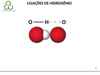 LIGAÇÕES DE HIDROGÊNIO
59
 