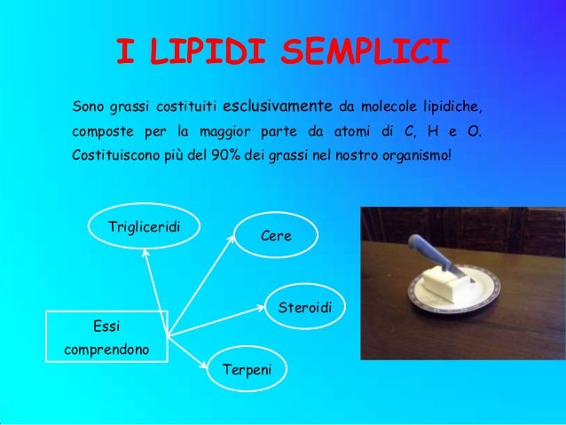 Cosa Sono I Lipidi Nel Sangue 2 lipidi e grassi da condimento