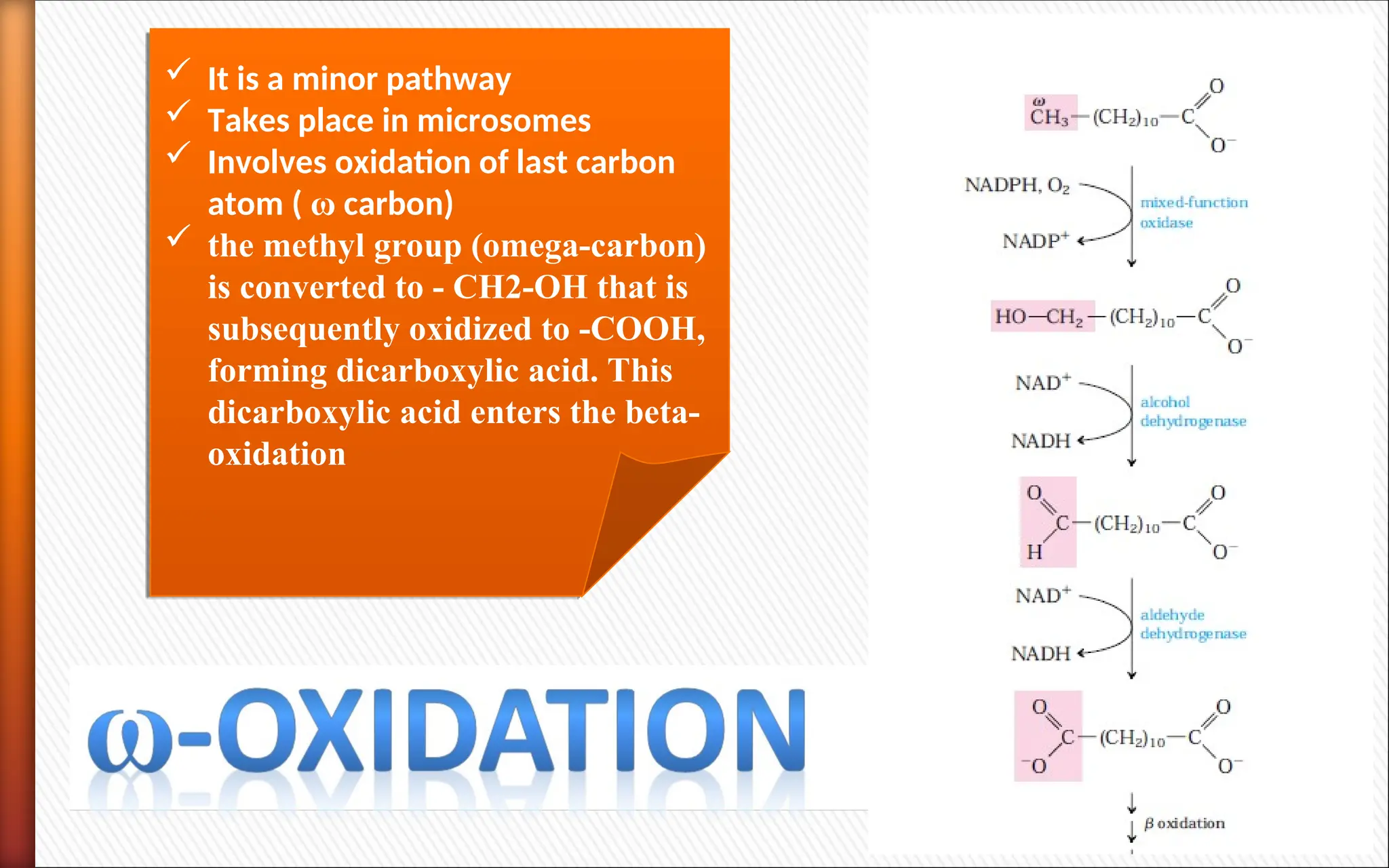 2 lipid oxidation types and steps and regulation.ppt