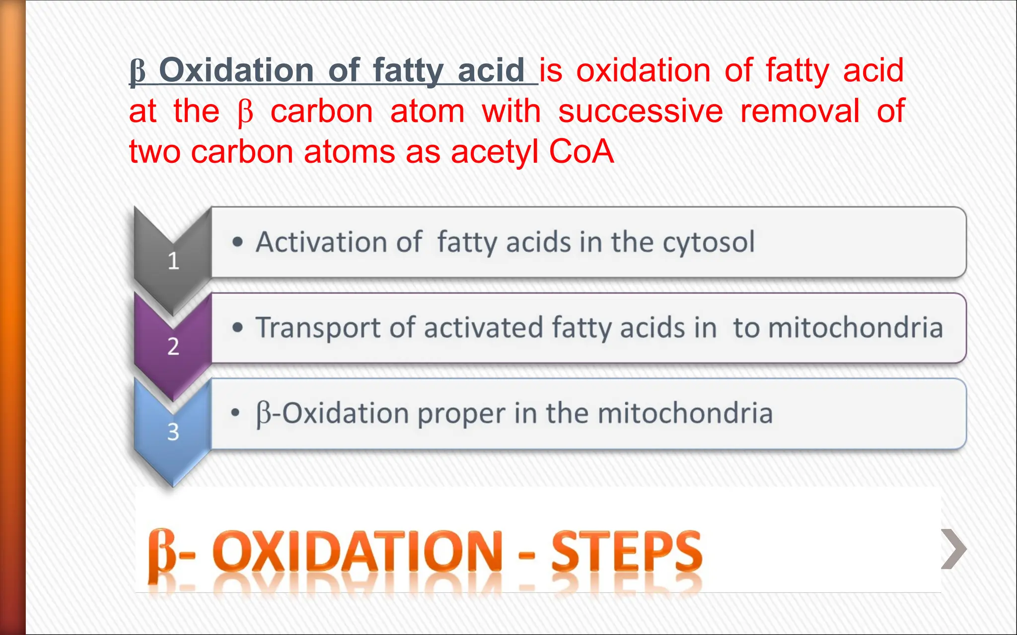 2 lipid oxidation types and steps and regulation.ppt