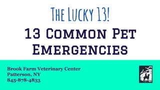 TheLucky13!
13 Common Pet
Emergencies
Brook Farm Veterinary Center
Patterson, NY
845-878-4833
 
