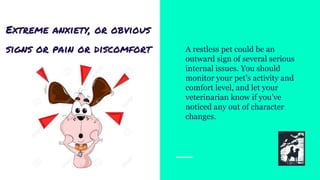 Extreme anxiety, or obvious
signs or pain or discomfort A restless pet could be an
outward sign of several serious
internal issues. You should
monitor your pet’s activity and
comfort level, and let your
veterinarian know if you’ve
noticed any out of character
changes.
 