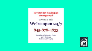 Is your pet having an
emergency?
Give us a call:
We’re open 24/7
845-878-4833
Brook Farm Veterinary Center
2371 Route 22
Patterson, NY 12563
 