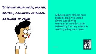 Bleeding from nose, mouth,
rectum, coughing up blood
or blood in urine
Although some of these cases
might be mild, you should
always consult your
veterinarian should your pet
be bleeding from any orifice. It
could signal a greater issue.
 