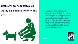 Inability to pass stool or
urine, or obvious pain while
attempting
A regular urination and
defecation schedule denotes a
healthy pet. If your pet shows
signs of discomfort during
either of these daily routines,
they could be suffering from
an internal issue of a much
more serious nature.
 