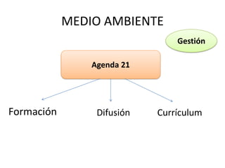 MEDIO AMBIENTEGestiónAgenda 21FormaciónDifusiónCurrículum
