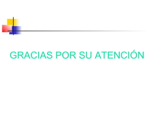 GRACIAS POR SU ATENCIÓN
 