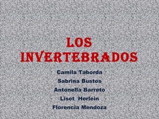 Los invertebrados Camila Taborda Sabrina Bustos Antonella Barreto Liset  Herlein Florencia Mendoza 