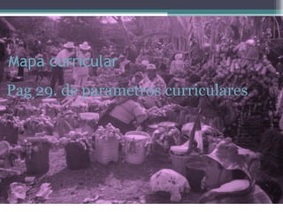 Mapa curricular
Pag 29. de parametros curriculares
 