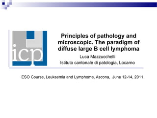 Principles of pathology and microscopic. The paradigm of diffuse large B cell lymphoma Luca Mazzucchelli Istituto cantonale di patologia, Locarno ESO Course, Leukaemia and Lymphoma, Ascona,  June 12-14, 2011 