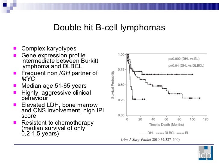 Dlbcl Double Hit Lymphoma : Double Hit Lymphoma – GAXXY