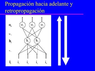 Propagación hacia adelante y retropropagación 