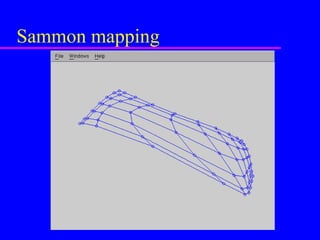 Sammon mapping 