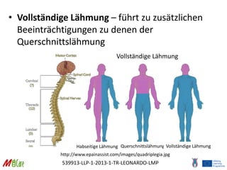 539913-LLP-1-2013-1-TR-LEONARDO-LMP
• Vollständige Lähmung – führt zu zusätzlichen
Beeinträchtigungen zu denen der
Querschnittslähmung
http://www.epainassist.com/images/quadriplegia.jpg
Vollständige Lähmung
Habseitige Lähmung Querschnittslähmung Vollständige Lähmung
 