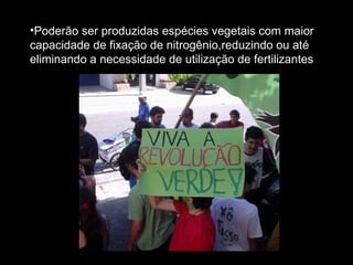 Poderão ser produzidas espécies vegetais com maior capacidade de fixação de nitrogênio,reduzindo ou até eliminando a necessidade de utilização de fertilizantes 