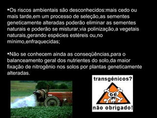 Os riscos ambientais são desconhecidos:mais cedo ou mais tarde,em um processo de seleção,as sementes geneticamente alteradas poderão eliminar as sementes naturais e poderão se misturar,via polinização,a vegetais naturais,gerando espécies estéreis ou,no mínimo,enfraquecidas; Não se conhecem ainda as conseqüências,para o balanceamento geral dos nutrientes do solo,da maior fixação de nitrogênio nos solos por plantas geneticamente alteradas. 