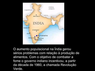 O aumento populacional na Índia gerou sérios problemas com relação à produção de alimentos. Com o objetivo de combater a fome o governo indiano incentivou, a partir da década de 1960, a chamada Revolução Verde.  