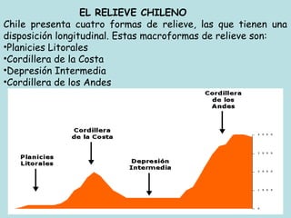 EL RELIEVE CHILENO
Chile presenta cuatro formas de relieve, las que tienen una
disposición longitudinal. Estas macroformas de relieve son:
•Planicies Litorales
•Cordillera de la Costa
•Depresión Intermedia
•Cordillera de los Andes
 
