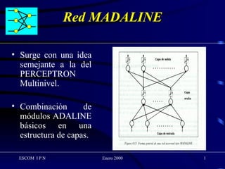 Red NEURONAL MADALINE | PPT