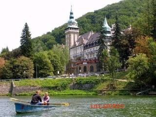 Ü鷡 
