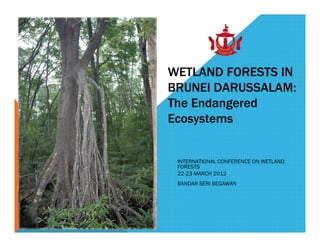 WETLAND FORESTS IN
BRUNEI DARUSSALAM:
The Endangered
Ecosystems


 INTERNATIONAL CONFERENCE ON WETLAND
 FORESTS
 22-23 MARCH 2012
 BANDAR SERI BEGAWAN
 