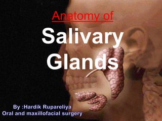 Anatomy of
Salivary
Glands
 