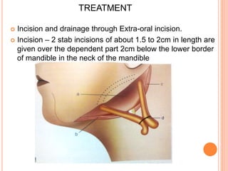  Incision and drainage through Extra-oral incision.
 Incision – 2 stab incisions of about 1.5 to 2cm in length are
given over the dependent part 2cm below the lower border
of mandible in the neck of the mandible
TREATMENT
 