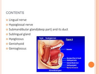 CONTENTS
 Lingual nerve
 Hypoglossal nerve
 Submandibular gland(deep part) and its duct
 Sublingual gland
 Hyoglossus
 Geniohyoid
 Genioglossus
 