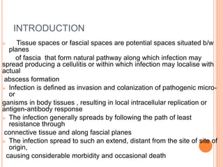 INTRODUCTION
 Tissue spaces or fascial spaces are potential spaces situated b/w
planes
of fascia that form natural pathway along which infection may
spread producing a cellulitis or within which infection may localise with
actual
abscess formation
 Infection is defined as invasion and colanization of pathogenic micro-
or
ganisms in body tissues , resulting in local intracellular replication or
antigen-antibody response
 The infection generally spreads by following the path of least
resistance through
connective tissue and along fascial planes
 The infection spread to such an extend, distant from the site of site of
origin,
causing considerable morbidity and occasional death
 