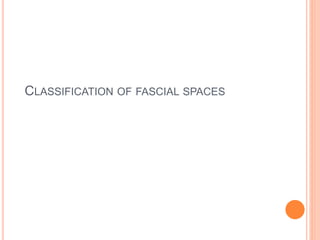 CLASSIFICATION OF FASCIAL SPACES
 