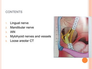 CONTENTS
1. Lingual nerve
2. Mandibular nerve
3. IAN
4. Mylohyoid nerves and vessels
5. Loose areolar CT
 