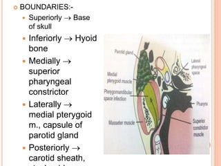  BOUNDARIES:-
 Superiorly  Base
of skull
 Inferiorly  Hyoid
bone
 Medially 
superior
pharyngeal
constrictor
 Laterally 
medial pterygoid
m., capsule of
parotid gland
 Posteriorly 
carotid sheath,
 