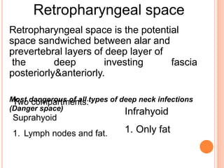 Retropharyngeal space
Two compartments:
Suprahyoid
1. Lymph nodes and fat.
Infrahyoid
1. Only fat
Retropharyngeal space is the potential
space sandwiched between alar and
prevertebral layers of deep layer of
the deep investing fascia
posteriorly&anteriorly.
Most dangerous of all types of deep neck infections
(Danger space)
 