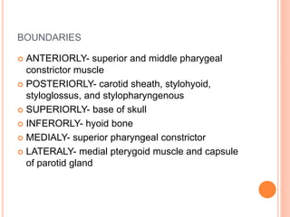 BOUNDARIES
 ANTERIORLY- superior and middle pharygeal
constrictor muscle
 POSTERIORLY- carotid sheath, stylohyoid,
styloglossus, and stylopharyngenous
 SUPERIORLY- base of skull
 INFERORLY- hyoid bone
 MEDIALY- superior pharyngeal constrictor
 LATERALY- medial pterygoid muscle and capsule
of parotid gland
 
